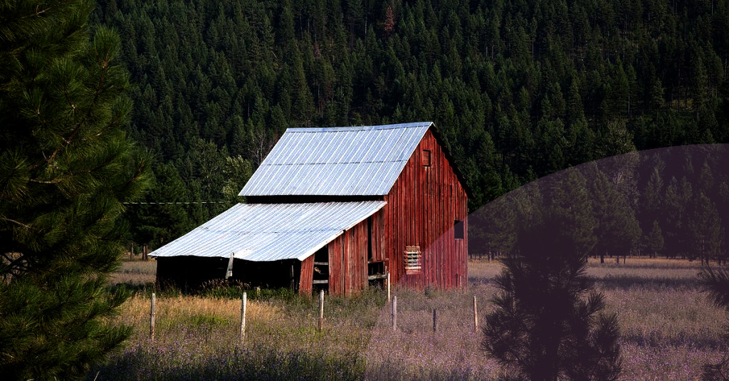 DIY Guide: Building a Firewood Shed