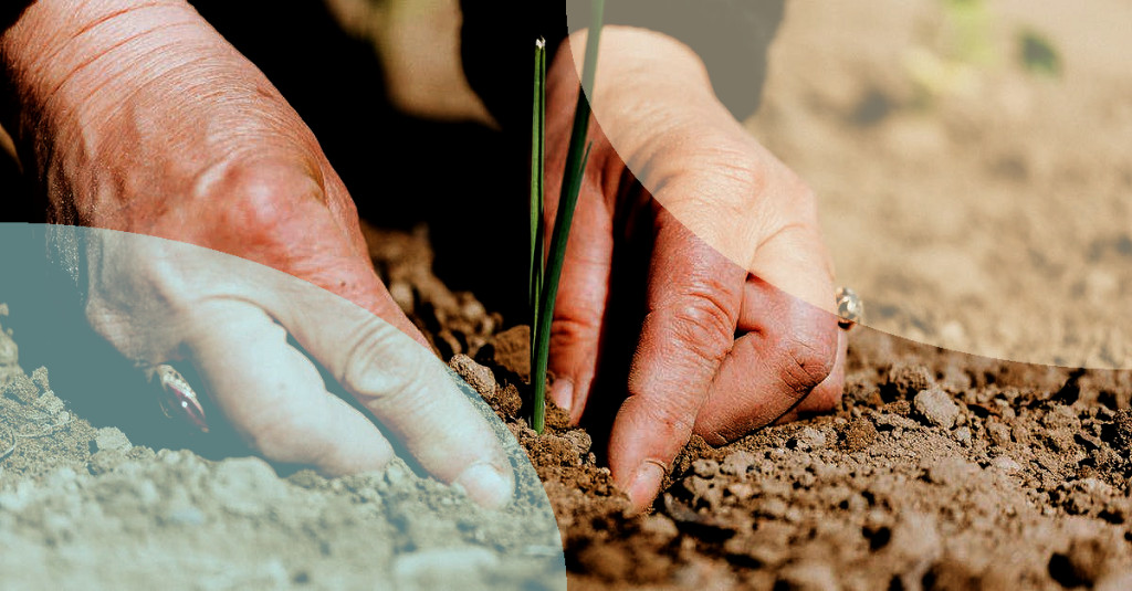 outdoor-magic-a-sprinkle-of-fairy-dust-on-the-garden