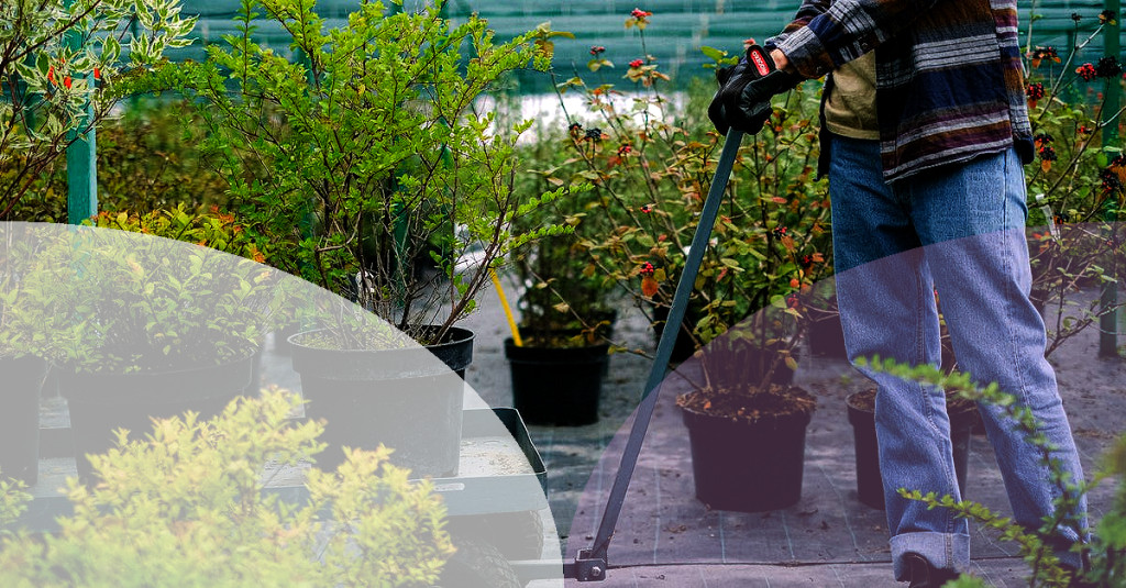 step-into-the-arena-garden-wheelbarrow-vs-regular-wheelbarrow